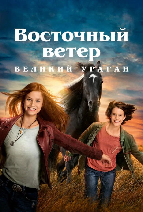 Смотреть Фильм Восточный ветер. Великий ураган(2021) бесплатно