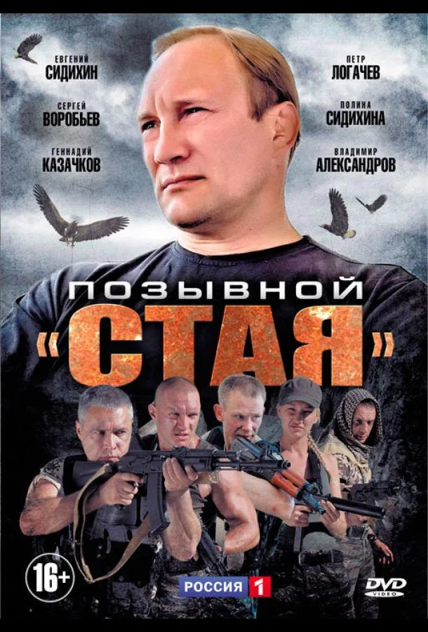 Смотреть Сериал Позывной «Стая»(2013) бесплатно